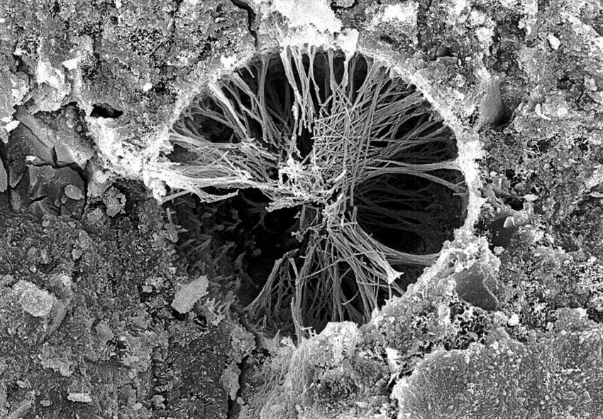 Рост водонерастворимых кристаллгидратов в поре бетона под электронным микроскопом